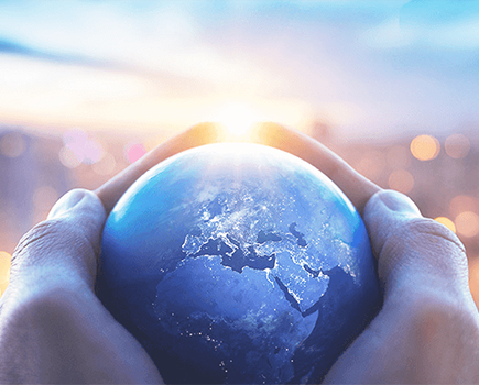 香港马买马网站资本